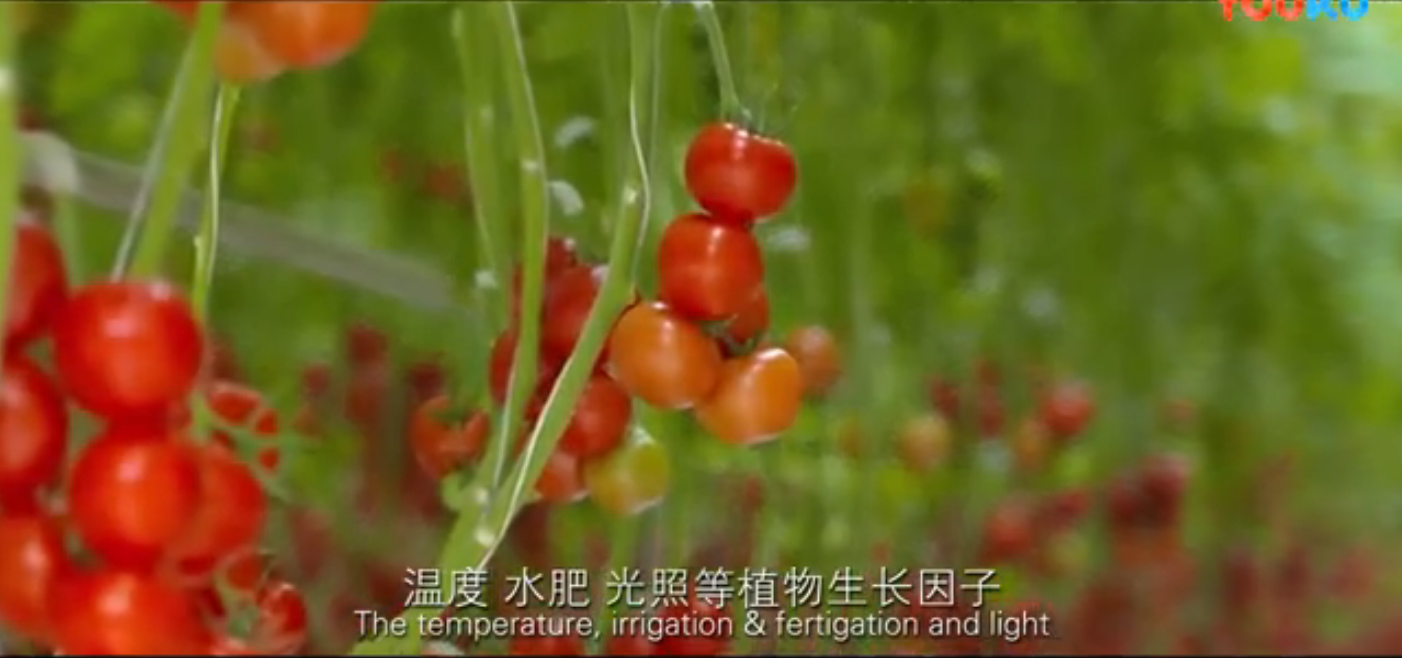 聚鑫汇娱乐 94305